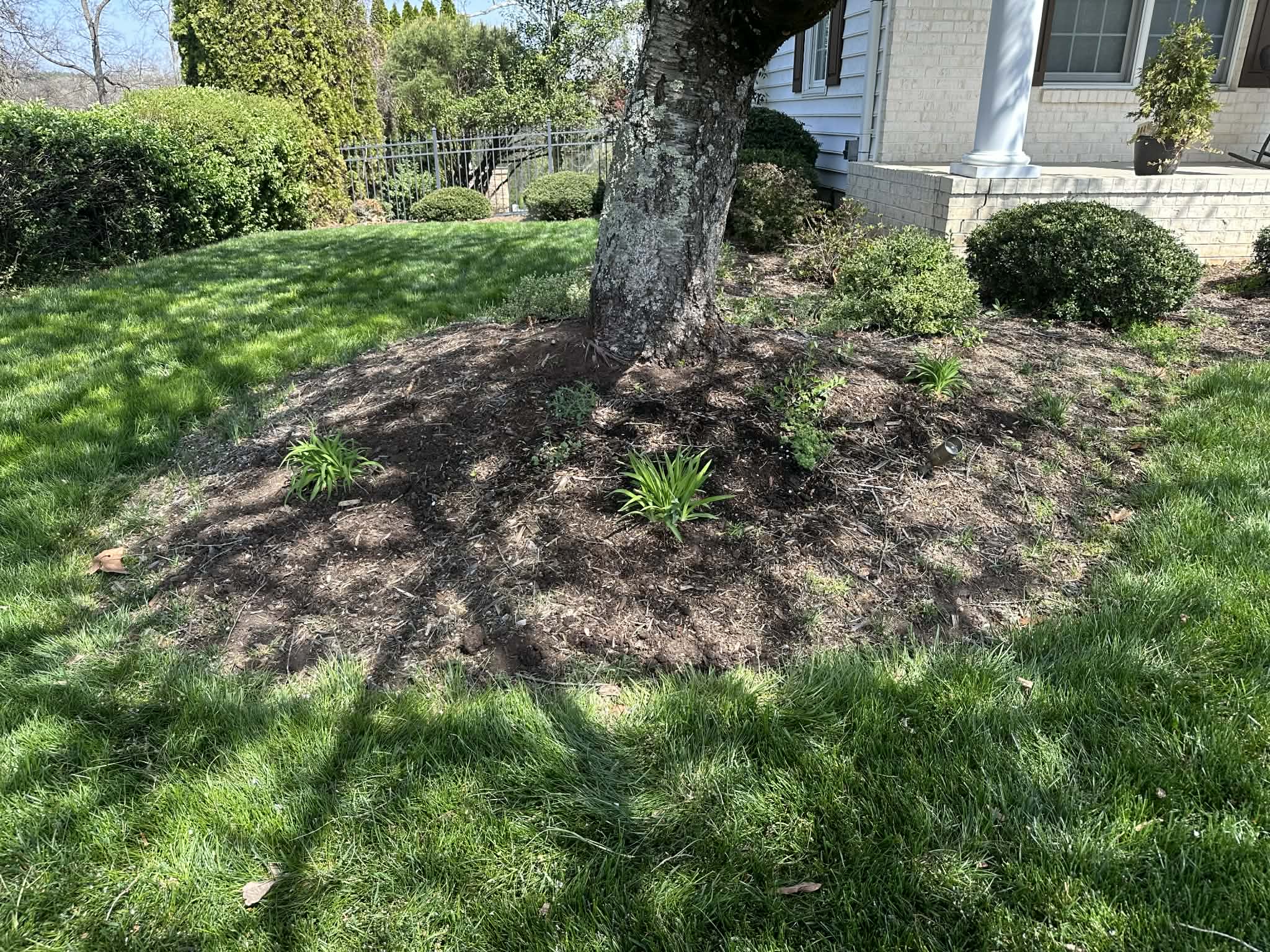 JSE Landscaping project 14